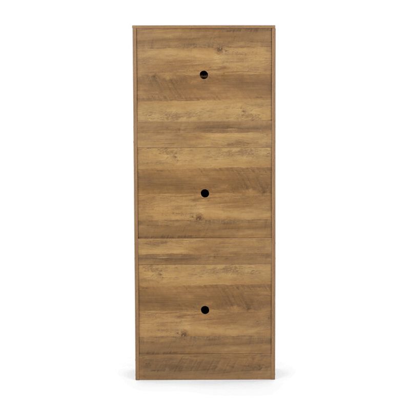 Botník so štyrmi priehradkami, brest