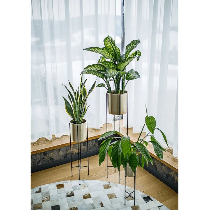 Kvetináč, čierna-zlatá