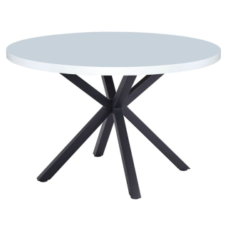 Jedálenský stôl, biela matná/čierna, priemer 120 cm